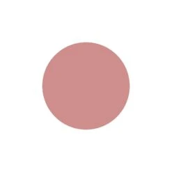 Godet Fard A Joues Beige Rose 3g