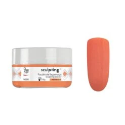 Poudre De Façonnage Sculpting + Marine Coral 10g / 10g -Bleu Libellule Boutique poudre de faconnage sculpting marine coral 10g 1