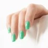 Vernis à Ongles Longue Tenue Green LAK - Palmier / 10ml -Bleu Libellule Boutique vernis a ongles longue tenue green lak palmier